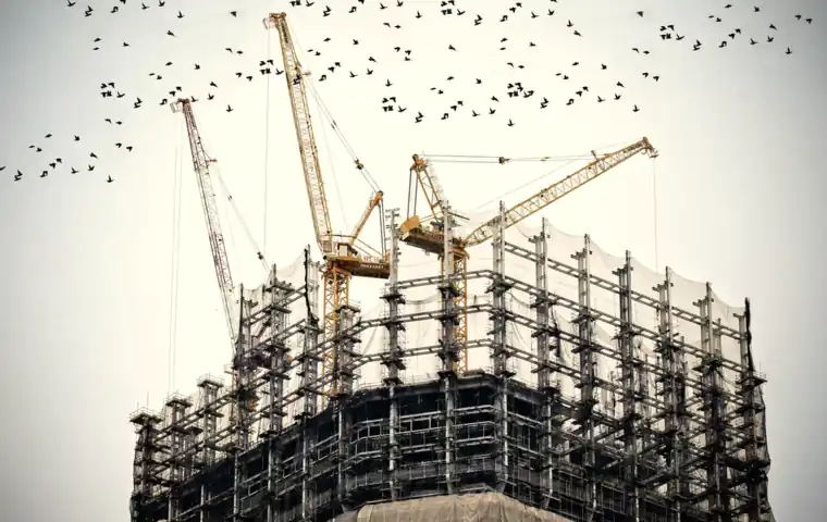 Tower cranes above a rising concrete frame, birds crossing the sky.